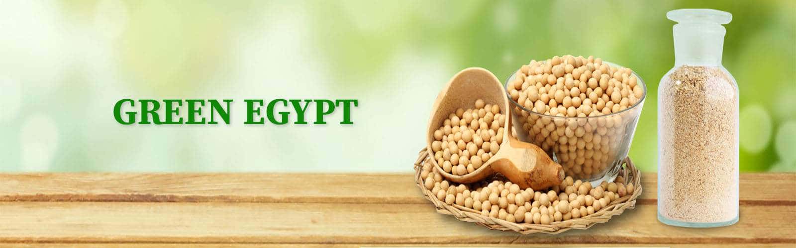 soybean_meal (1)